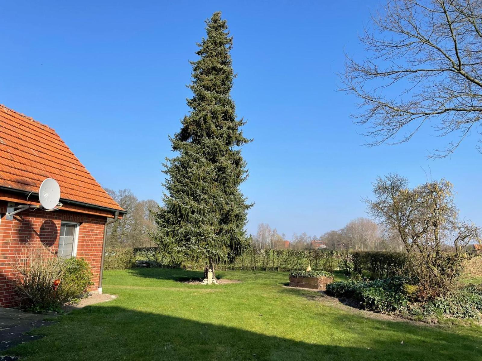 Ferienwohnung Kiebitzheide Beelen Екстер'єр фото